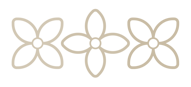 decorazione decorazione