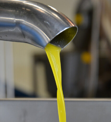 primo olio evo primo olio evo