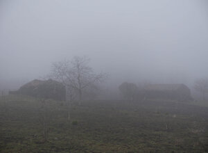 paesaggio rurale.jpeg