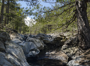 02.05.2026%20torrente%20sciambro-1.jpeg