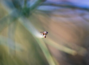 29122025-29.12.2025 sent. m.concilio - m. gemellaro-9272.jpeg