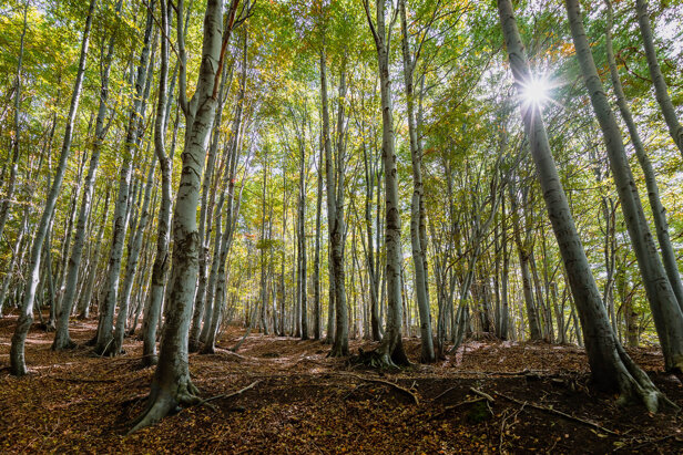 19092021-19092021-rifugio ragabo,grotte delle palombe,timpa rossa-106.jpeg