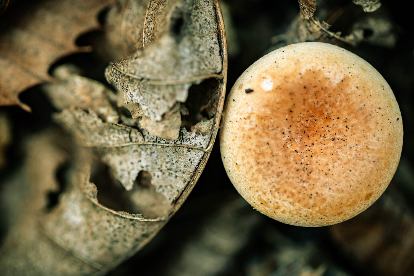 08112020-08112020-grotta comune-16.jpeg