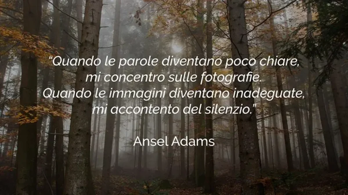 frasi-fotografia-ansel-adams-768x432