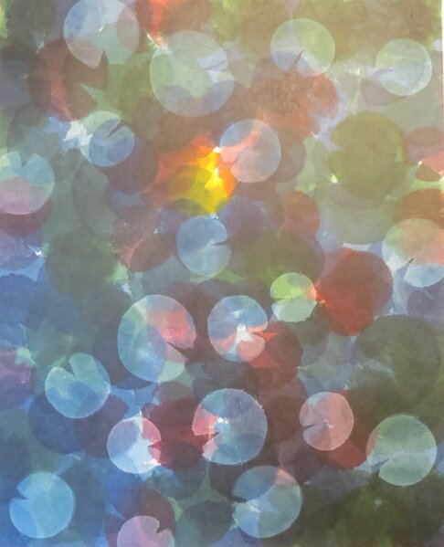 img_8771 ritagliata senza bordi.jpeg