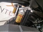 honda-adv-350-special-edition-2026-nuovo-da-immatricolare