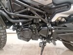 benelli-leoncino-800-trail-2024-km-2345