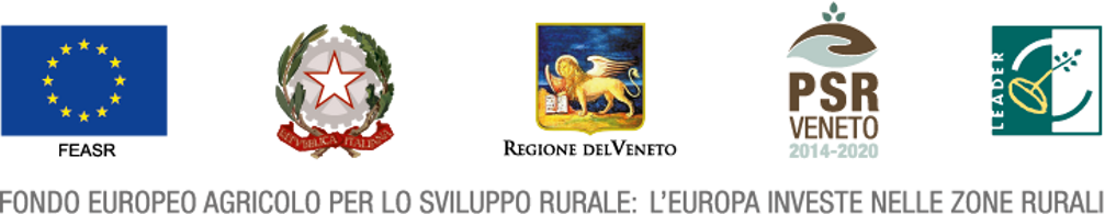 5-istituzionali