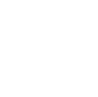 merum logo scritta