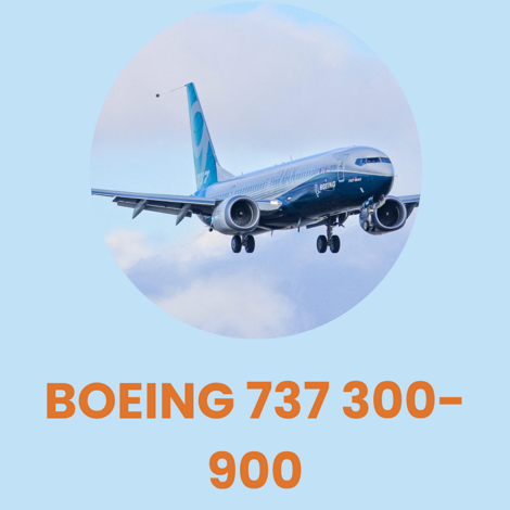 type boeing 737-300