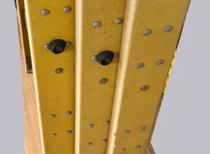 img_71731.webp img_71731.webp