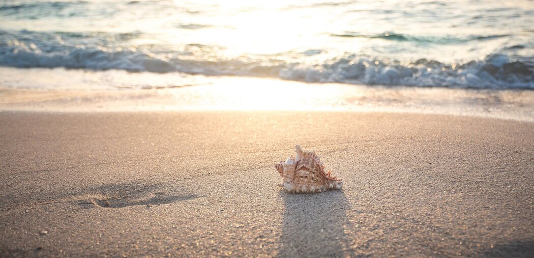 beach-4301479_1280.jpeg