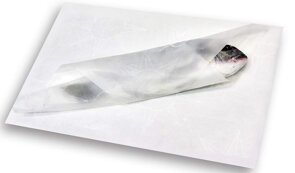 vegetale.jpeg vegetale.jpeg