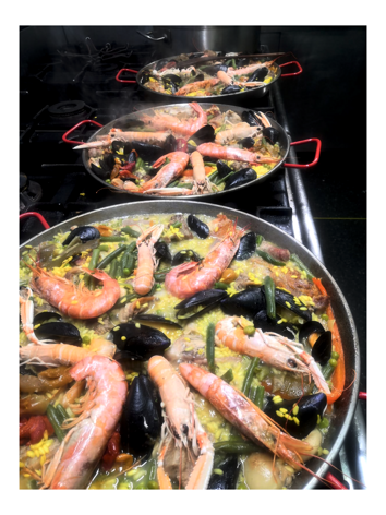 whatsapp image 2026-03-08 at 15.27.04 fixed whatsapp image 2026-03-08 at 15.27.04 fixed