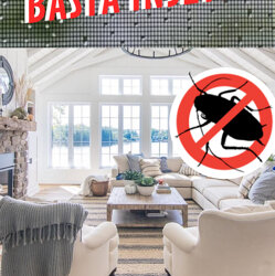 54433926_2170595799686385_1136009095921270784_n