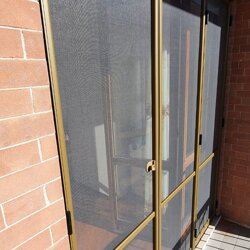 88971215_2815558751856750_6560637491819315200_n