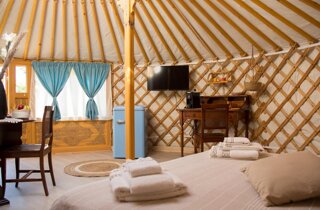 whatsapp image 2026-03-12 at 15.56.09.jpeg