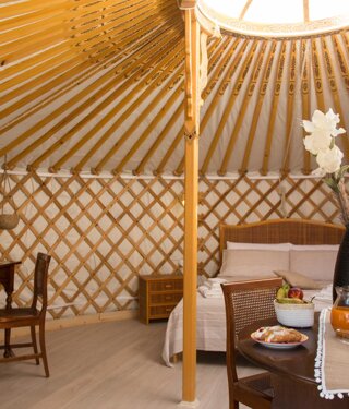 whatsapp image 2026-03-12 at 15.56.10 (3).jpeg