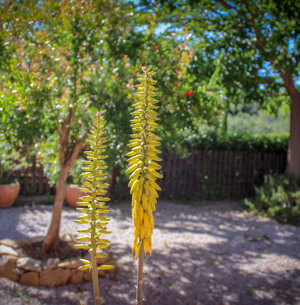 img_1218-2.jpeg