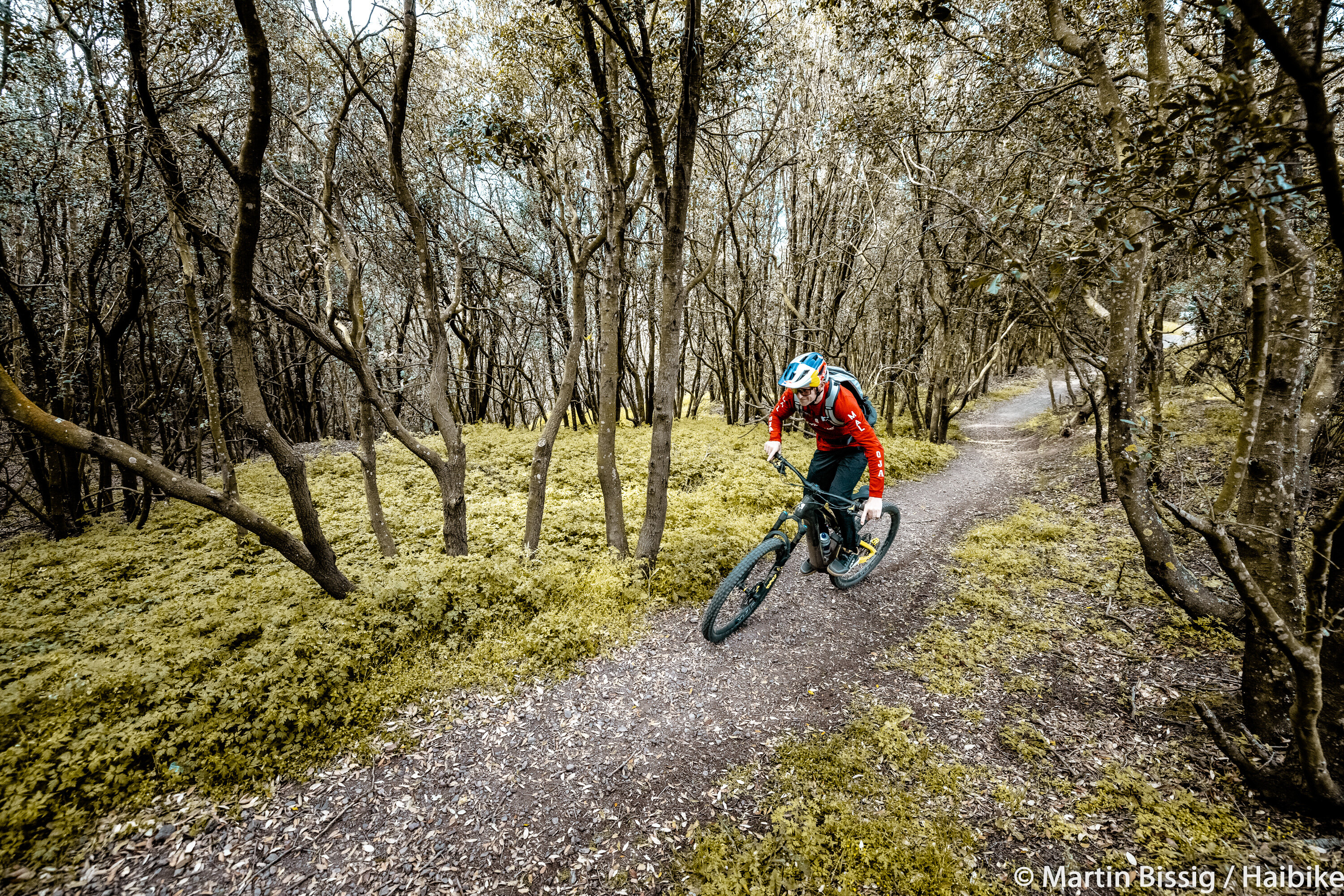 midres_tom-oehler_haibike_elba2023-0976.jpeg