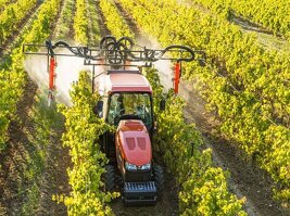 small digital-_dsc0375.jpeg small digital-_dsc0375.jpeg