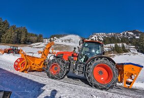 ai search-dsw08125.jpeg