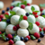 39550_a19eeba785bcae481d0f091ff084add0c7b240ac