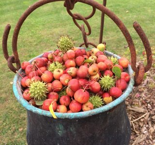 39552_80639cf2283cc23298af6f09a9f3b4009ea36916