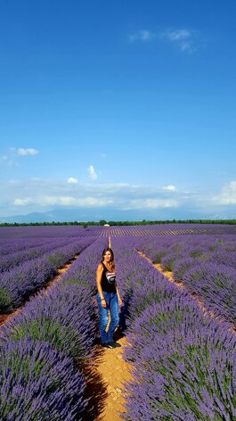 PROVENZA LAVANDA