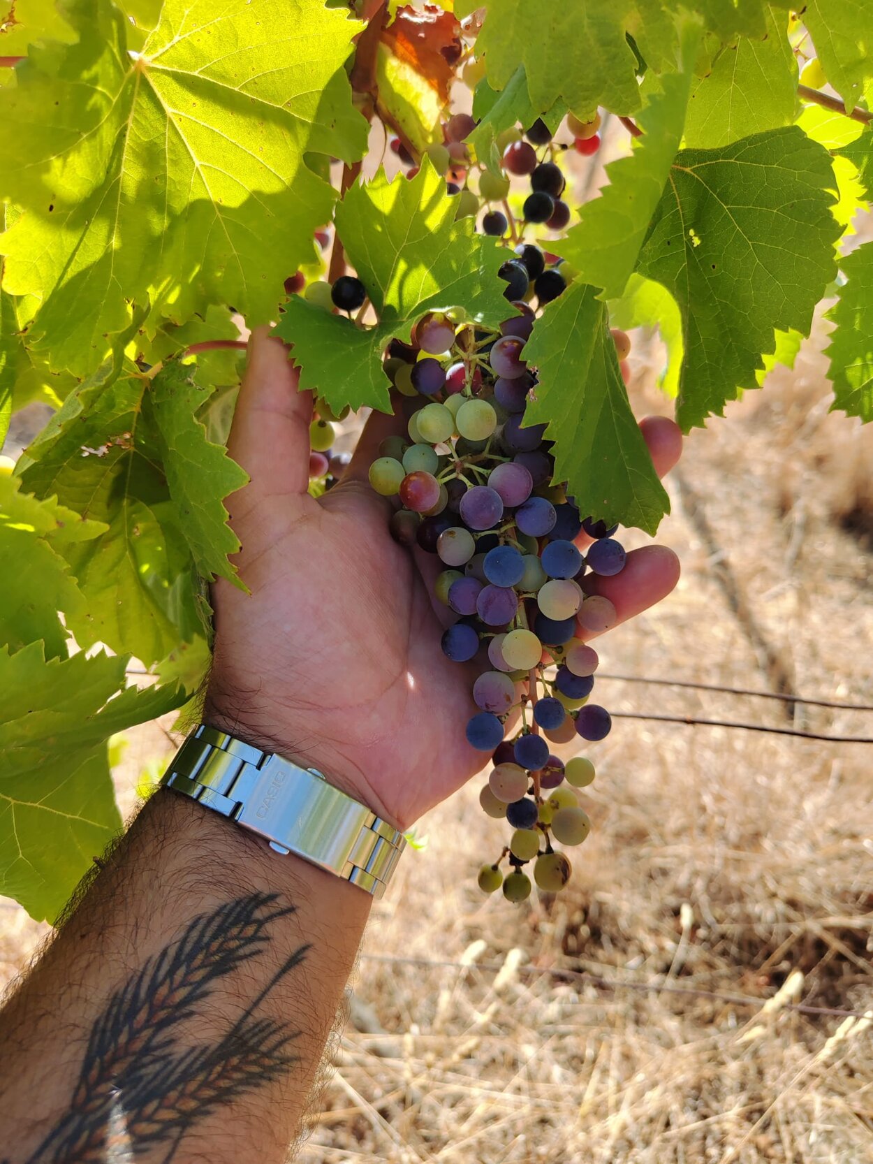 immagine whatsapp 2023-04-18 ore 11.01.36.jpeg