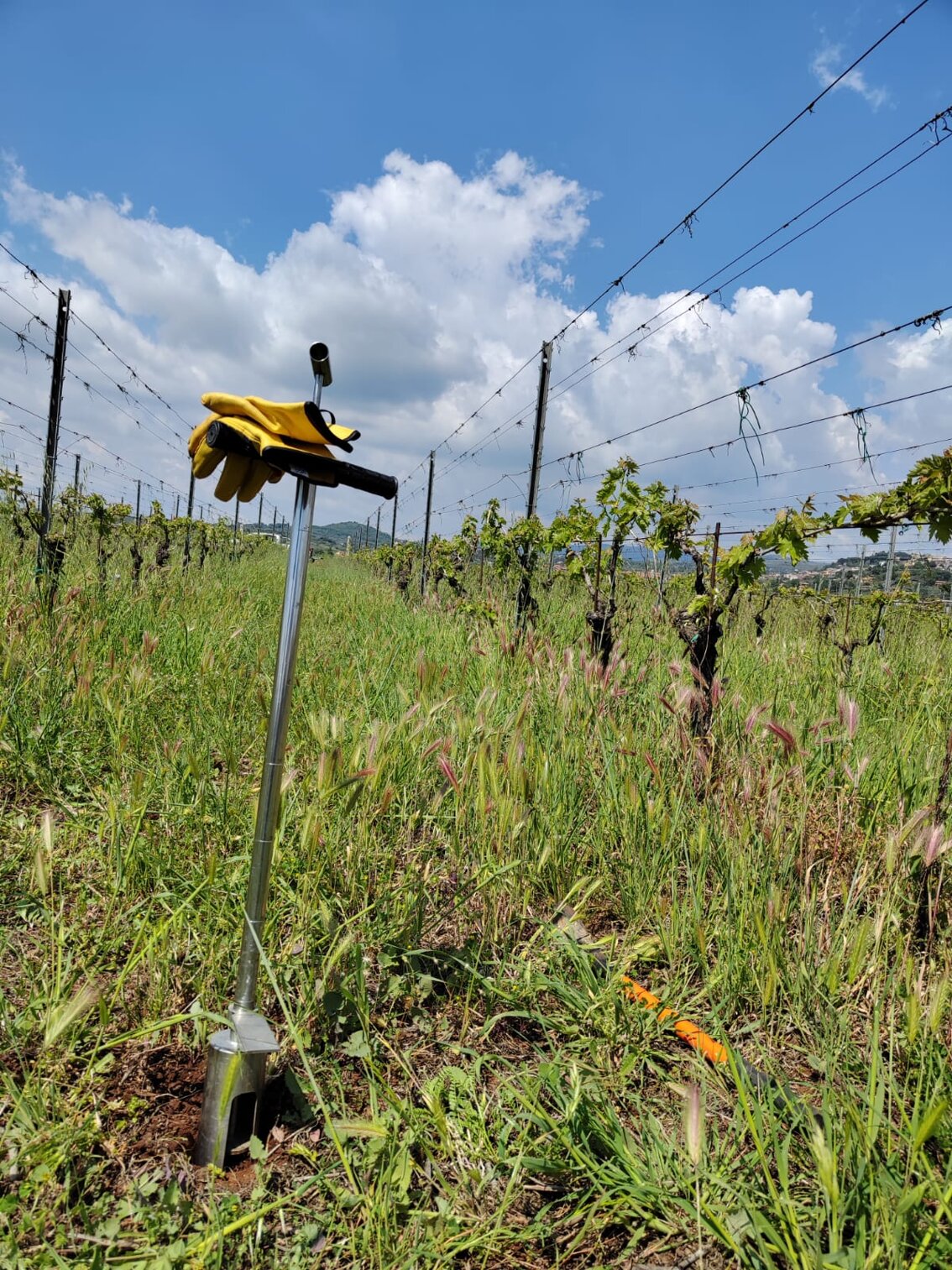 analisi suolo campionamento soil agronomo agronomia luppolo hop beer diagnostica fogliare birra green fitosanitari insetti vite wine vino grape