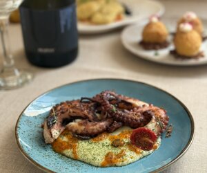 Polpo