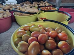 img_20260625_182908.jpeg