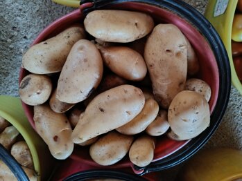 img_20260625_182936.jpeg