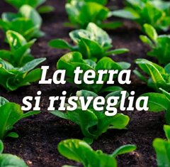 la terra si risveglia.jpeg