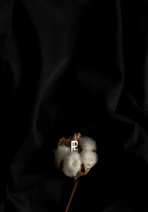 crisp white cotton.jpeg