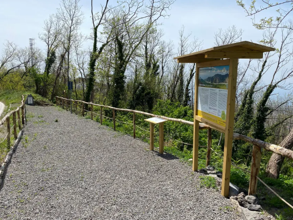 parco-nazionale-vesuvio-pompei.png
