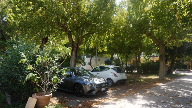 dsc06778.jpeg