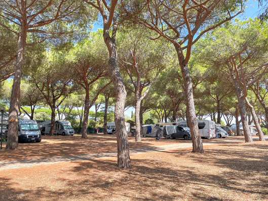 area parcheggio.jpeg