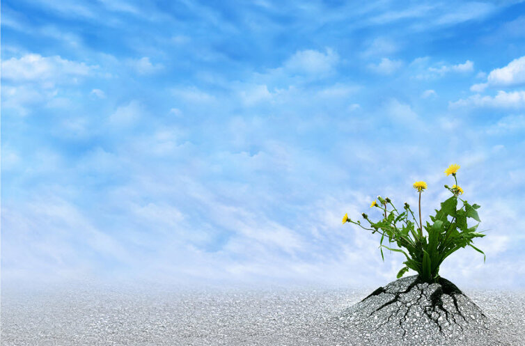 life persist.jpeg life persist.jpeg