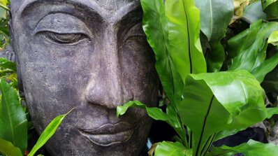 buddha-1536x864.jpeg