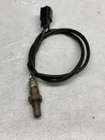 sensore-ossigeno-ninja-zx-10-kawasaki-originale-11-15-sonda-lambda