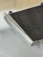 radiatore-acqua-raffreddamento-ducati-panigale-8991199-1299-v2-54841211a