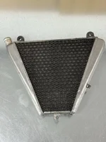 radiatore-acqua-raffreddamento-ducati-panigale-8991199-1299-v2-54841211a