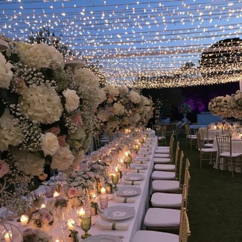 image00213-e1734614375853 (1).jpeg