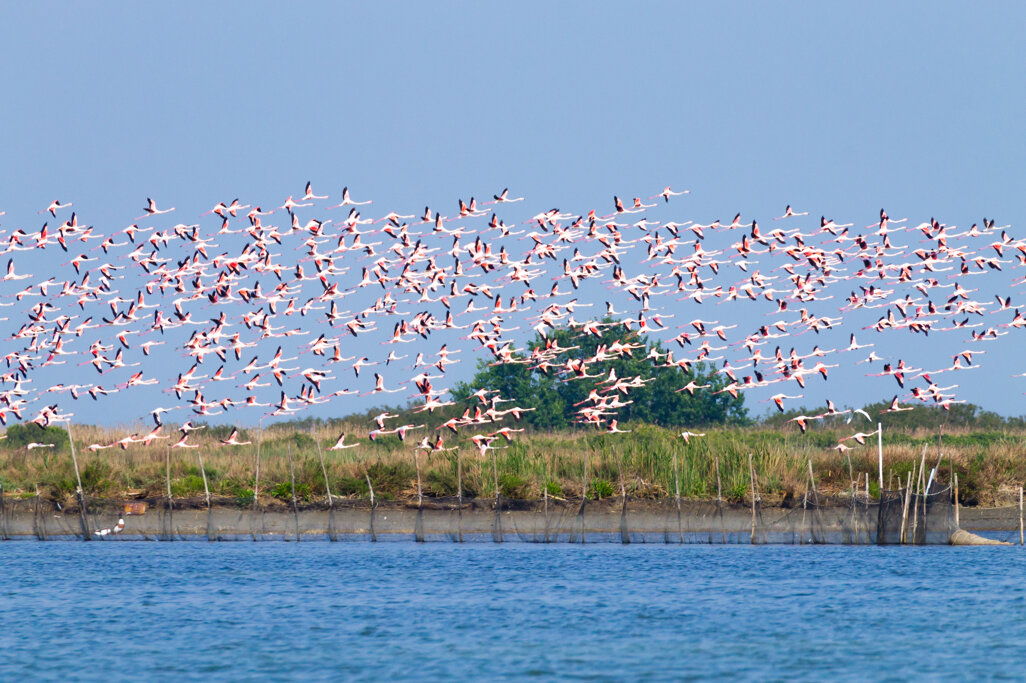delta del Po natura incontaminata