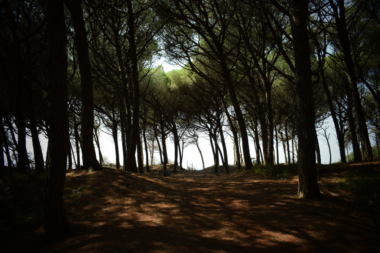 tour delta del Po