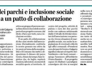 articolo1.jpeg