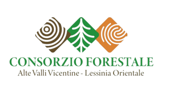 1_logo_consorzio-removebg-preview