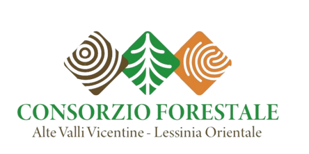 1_logo_consorzio-removebg-preview